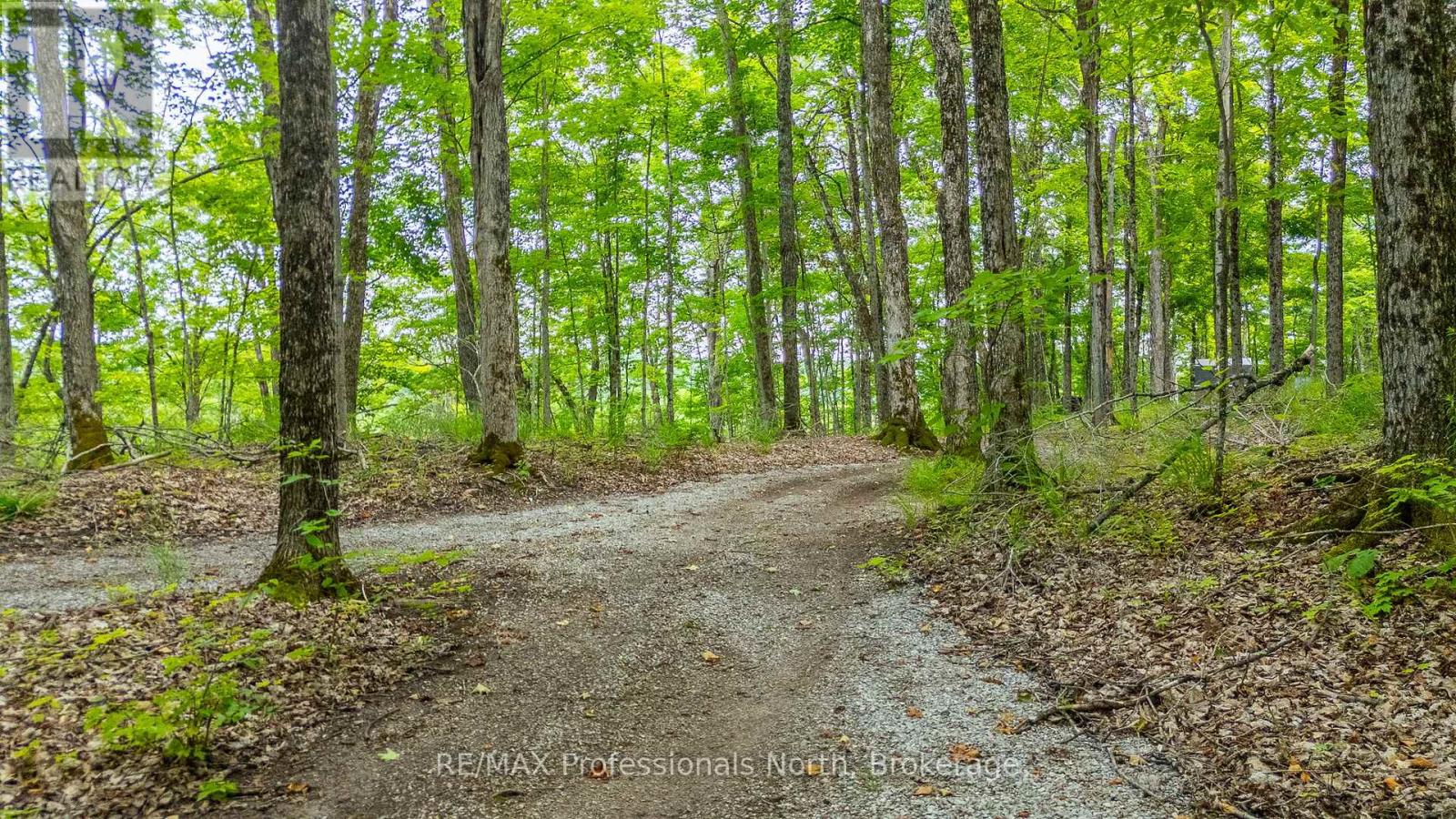 N/a Hendersons Road, Minden Hills (Lutterworth), Ontario  K0M 2K0 - Photo 7 - X12281109