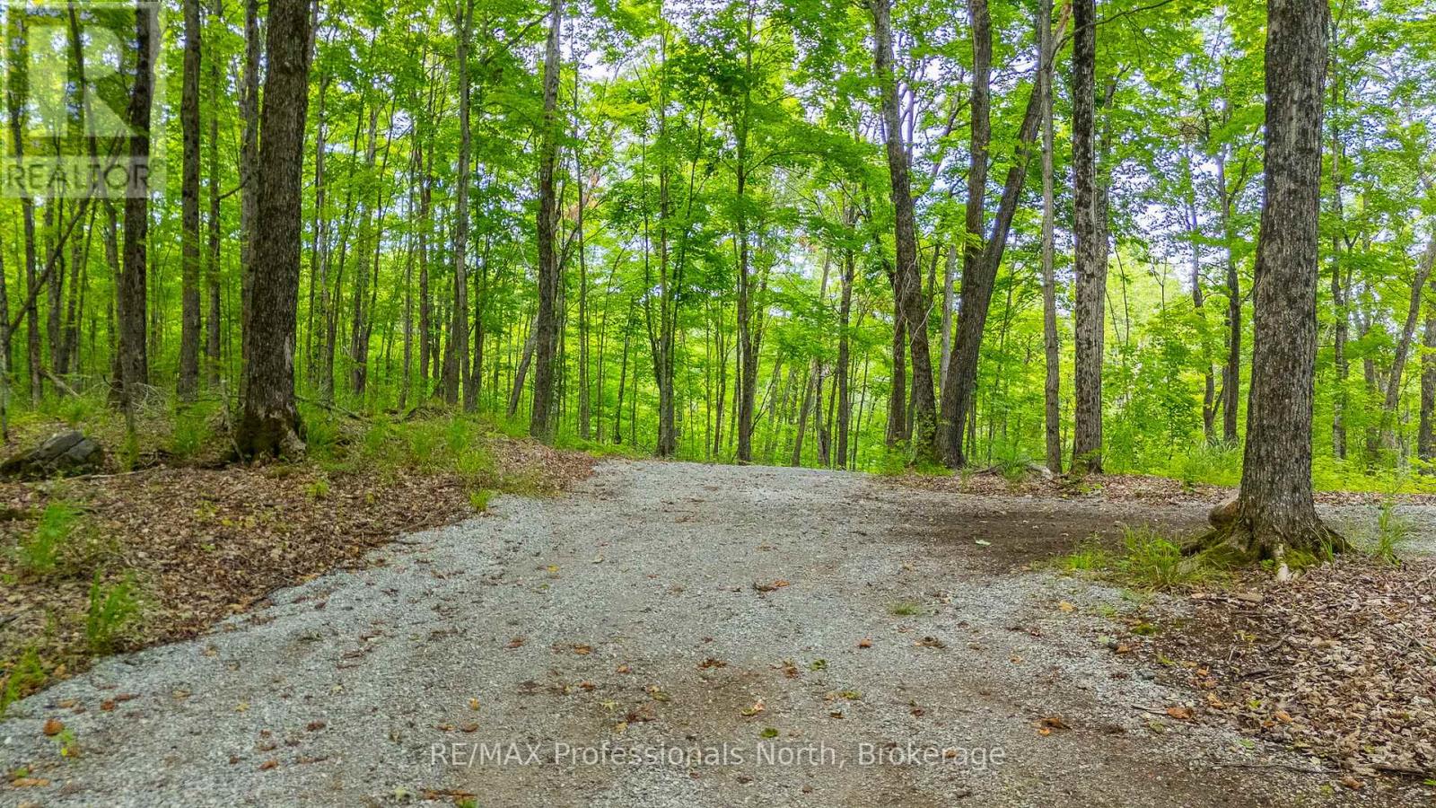 N/a Hendersons Road, Minden Hills (Lutterworth), Ontario  K0M 2K0 - Photo 8 - X12281109