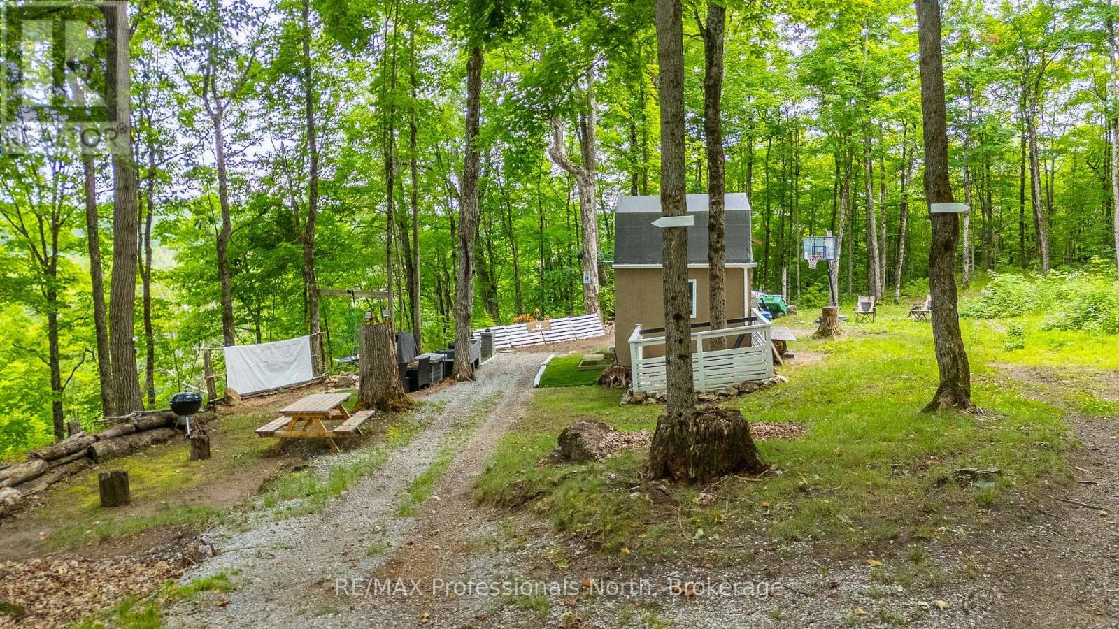 N/a Hendersons Road, Minden Hills (Lutterworth), Ontario  K0M 2K0 - Photo 9 - X12281109