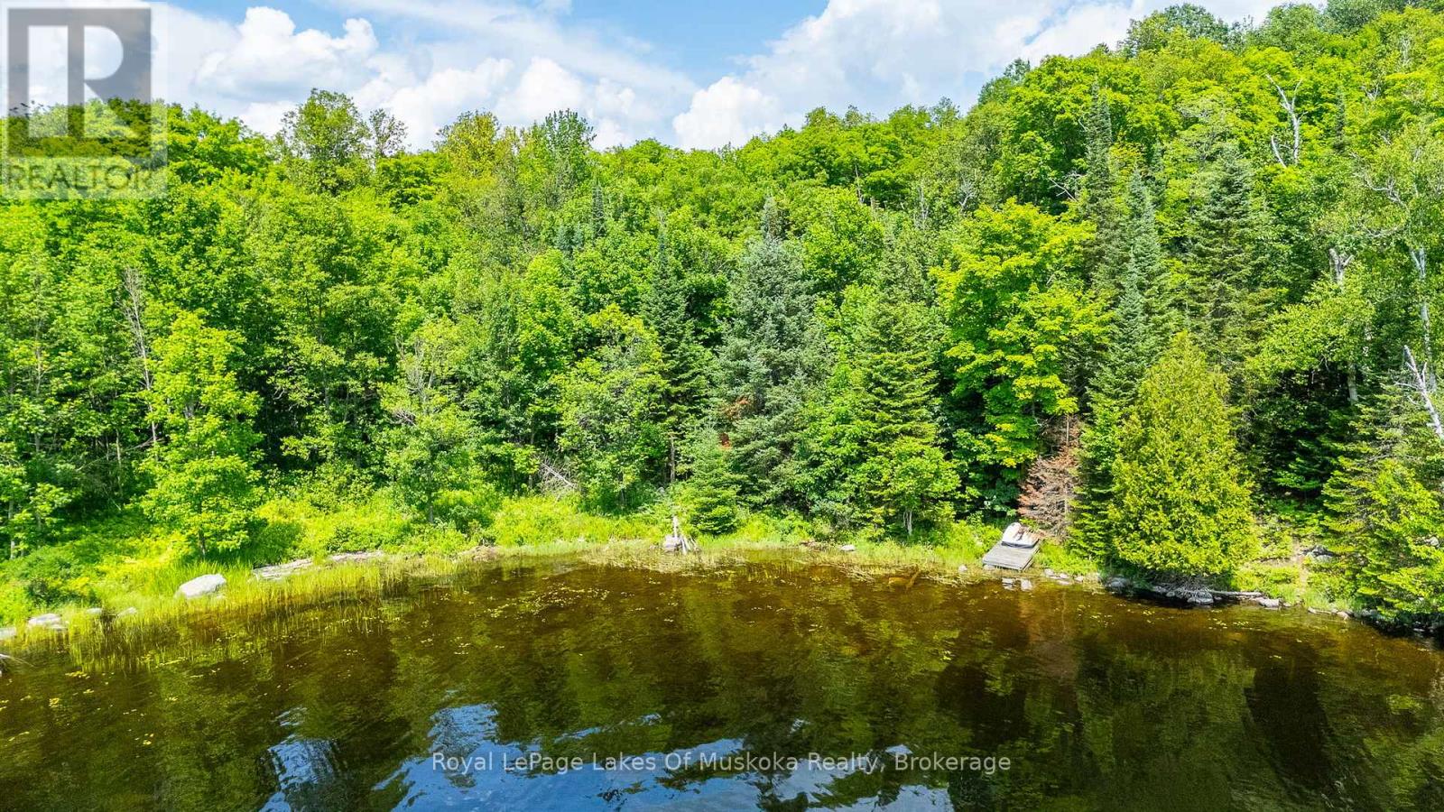 1236 Grace Road, Minden Hills, Ontario  K0M 2K0 - Photo 35 - X12281164
