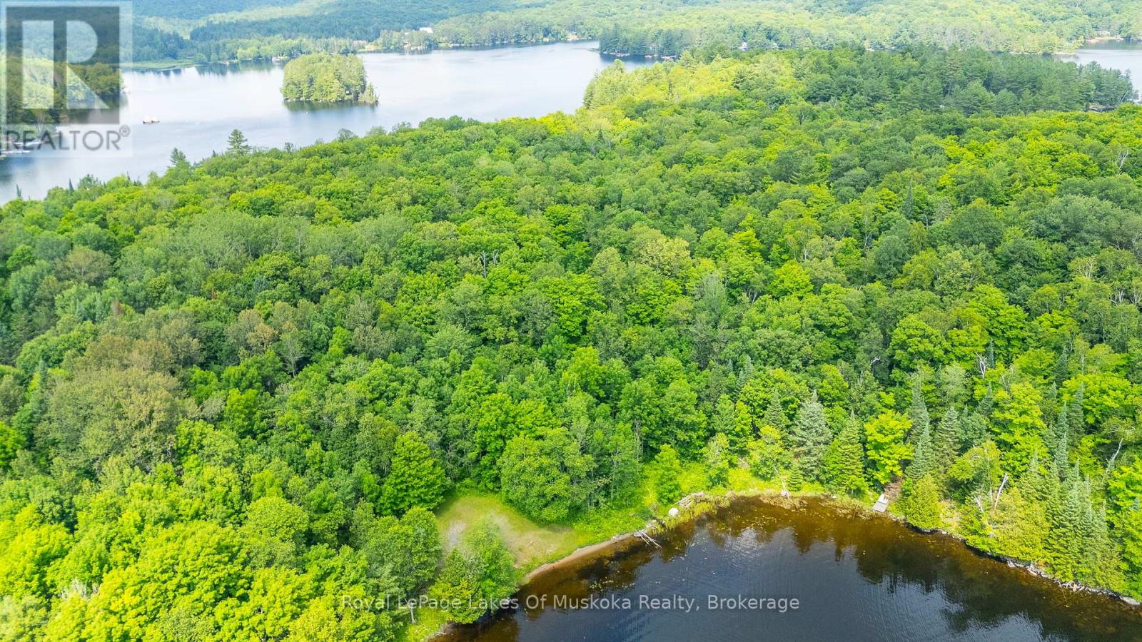 1236 Grace Road, Minden Hills, Ontario  K0M 2K0 - Photo 43 - X12281164