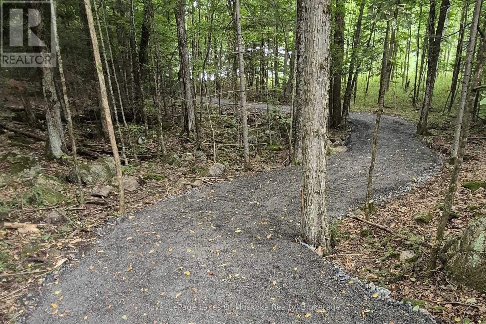1236 Grace Road, Minden Hills, Ontario  K0M 2K0 - Photo 44 - X12281164