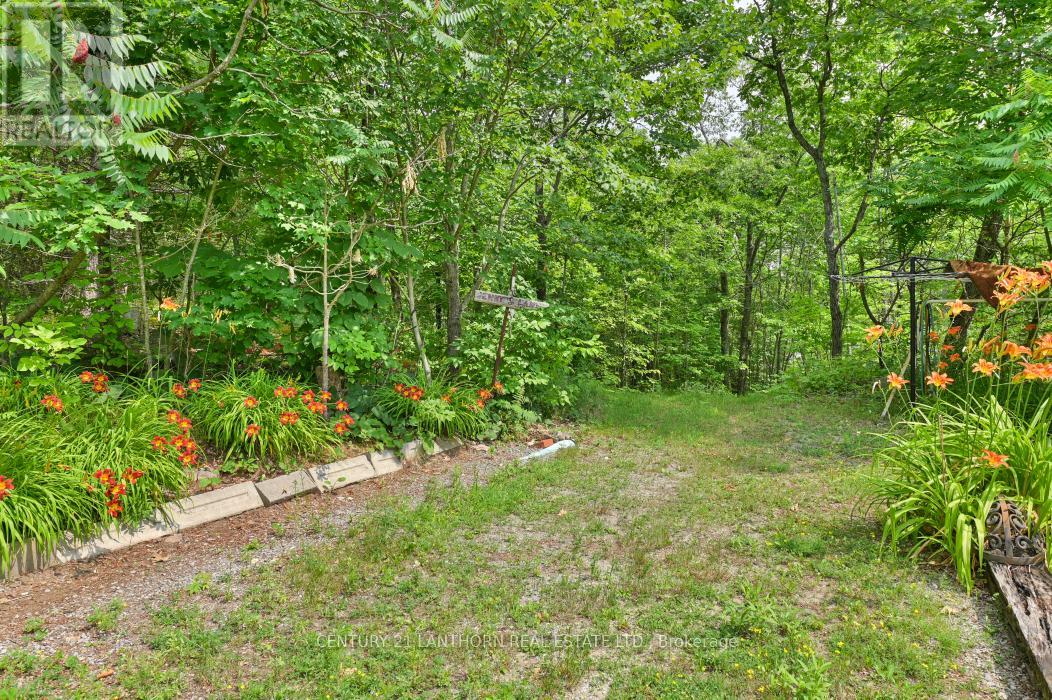 656 A Yarrow Lane, Marmora And Lake, Ontario  K0K 2K0 - Photo 27 - X12281196