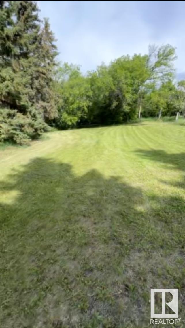 5027 47 St, Mirror, Alberta  T0B 3C0 - Photo 10 - E4431019
