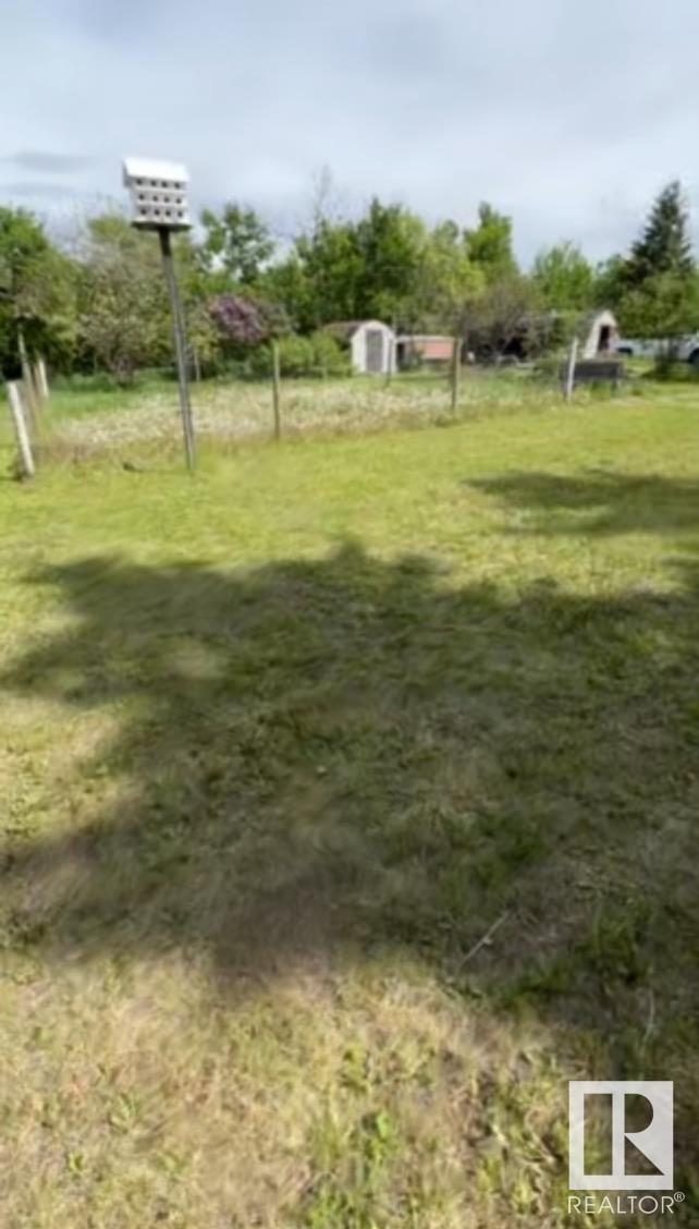 5027 47 St, Mirror, Alberta  T0B 3C0 - Photo 6 - E4431019