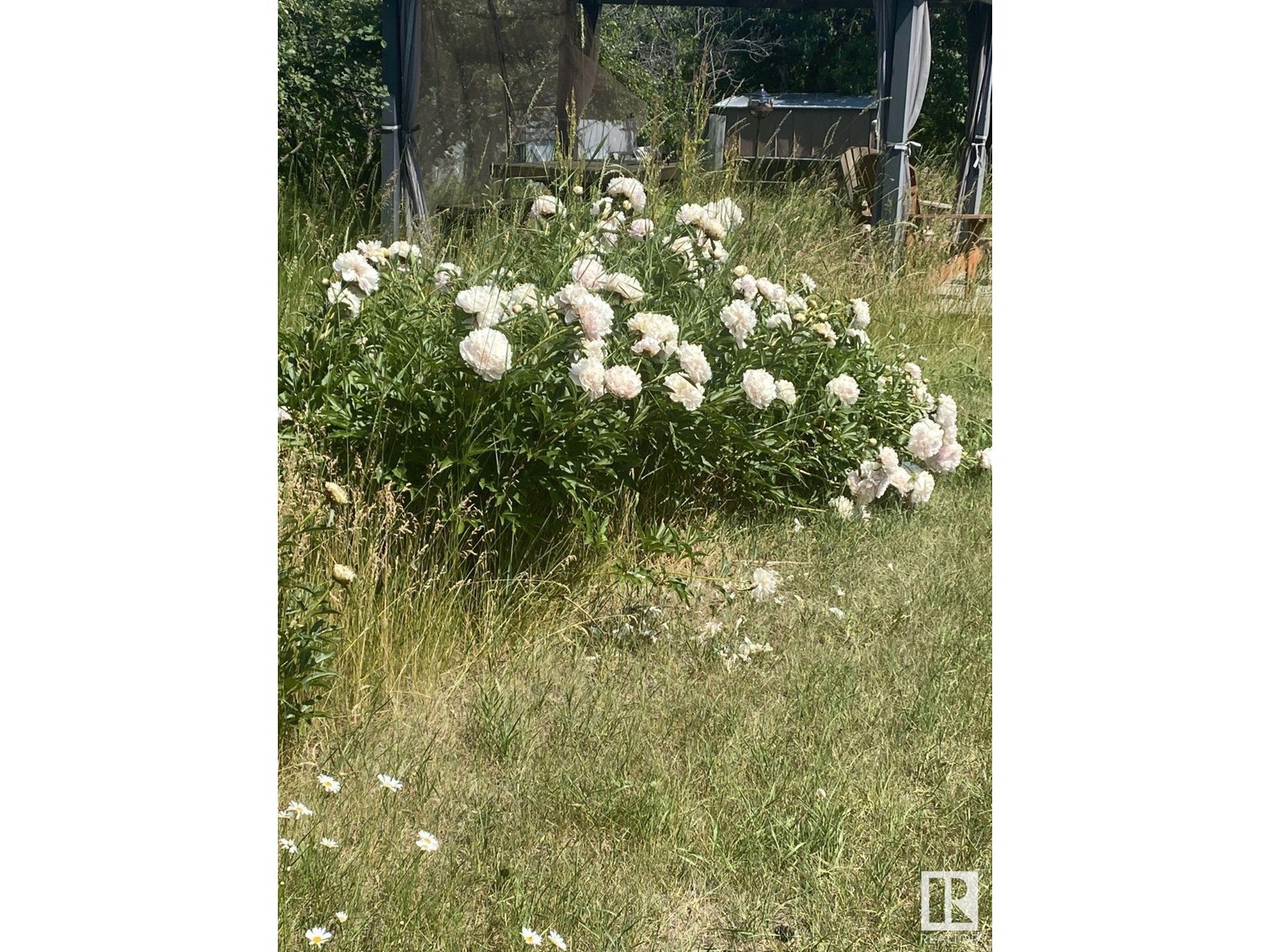 5027 47 St, Mirror, Alberta  T0B 3C0 - Photo 19 - E4431019