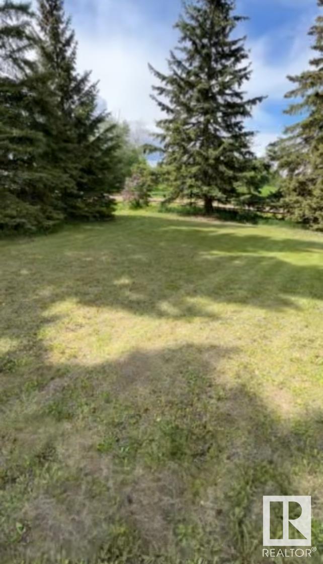 5027 47 St, Mirror, Alberta  T0B 3C0 - Photo 11 - E4431019