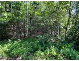 LOT 29 WEST COURT, Dysart et al, Ontario