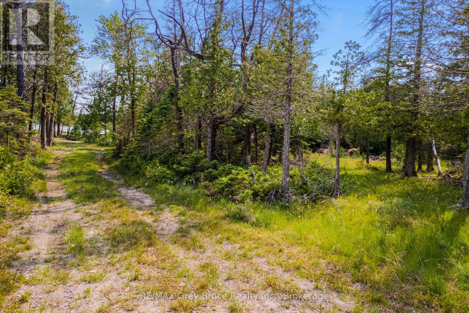 850 Dorcas Bay Road, Northern Bruce Peninsula, Ontario  N0H 2R0 - Photo 11 - X12281313
