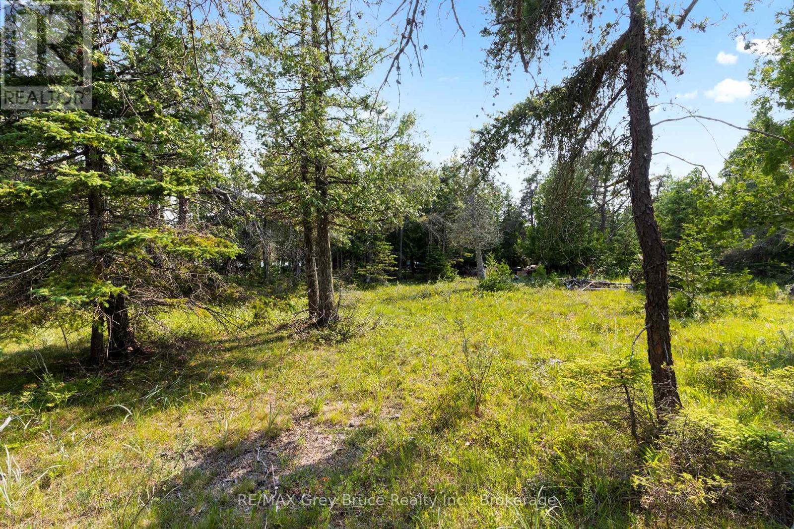 850 Dorcas Bay Road, Northern Bruce Peninsula, Ontario  N0H 2R0 - Photo 12 - X12281313