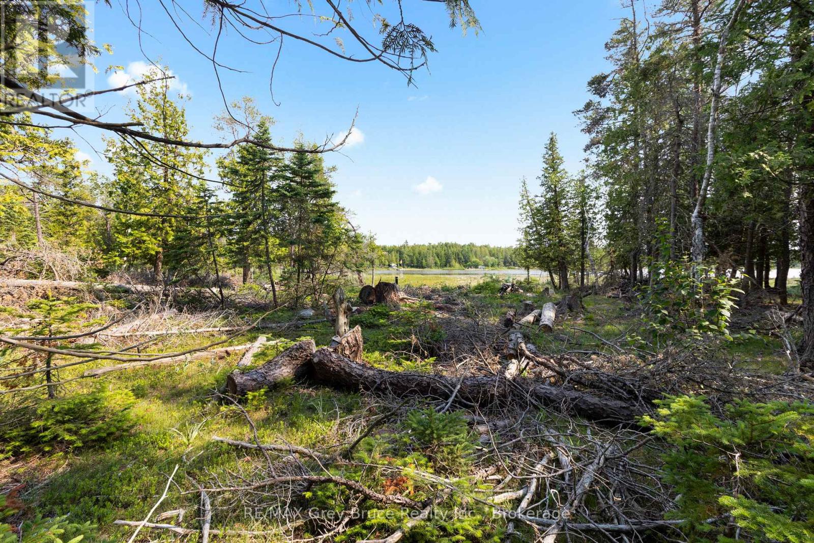 850 Dorcas Bay Road, Northern Bruce Peninsula, Ontario  N0H 2R0 - Photo 14 - X12281313