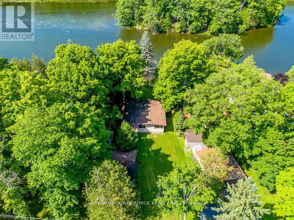 142 Cedar Shores Drive, Trent Hills, Ontario  K0L 1Z0 - Photo 6 - X12192643