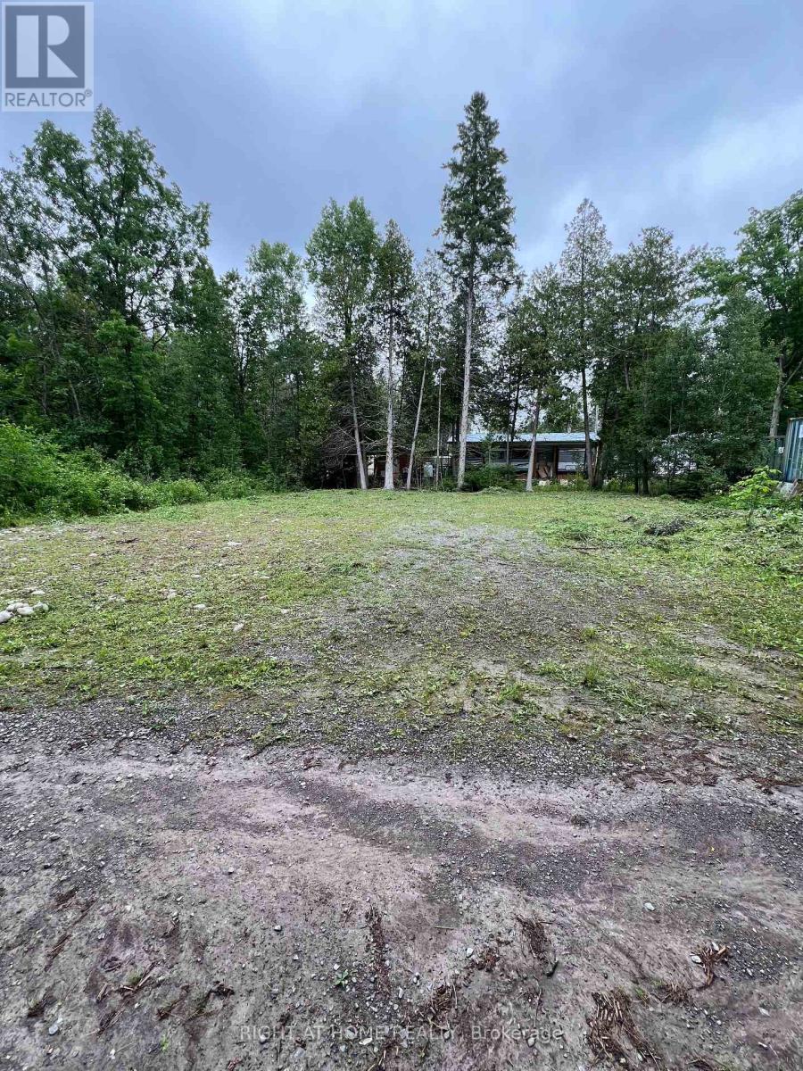 167 Spruce Lane, Trent Hills, Ontario  K0K 2M0 - Photo 7 - X12281328