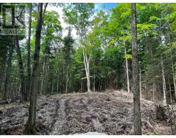 LOT 26 WEST COURT, Dysart et al, Ontario