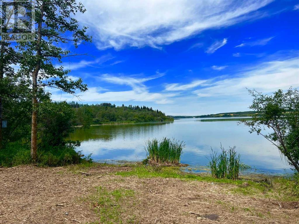 On Pine Lake Road South, Rural Red Deer County, Alberta  T0M 1S0 - Photo 13 - A2229256