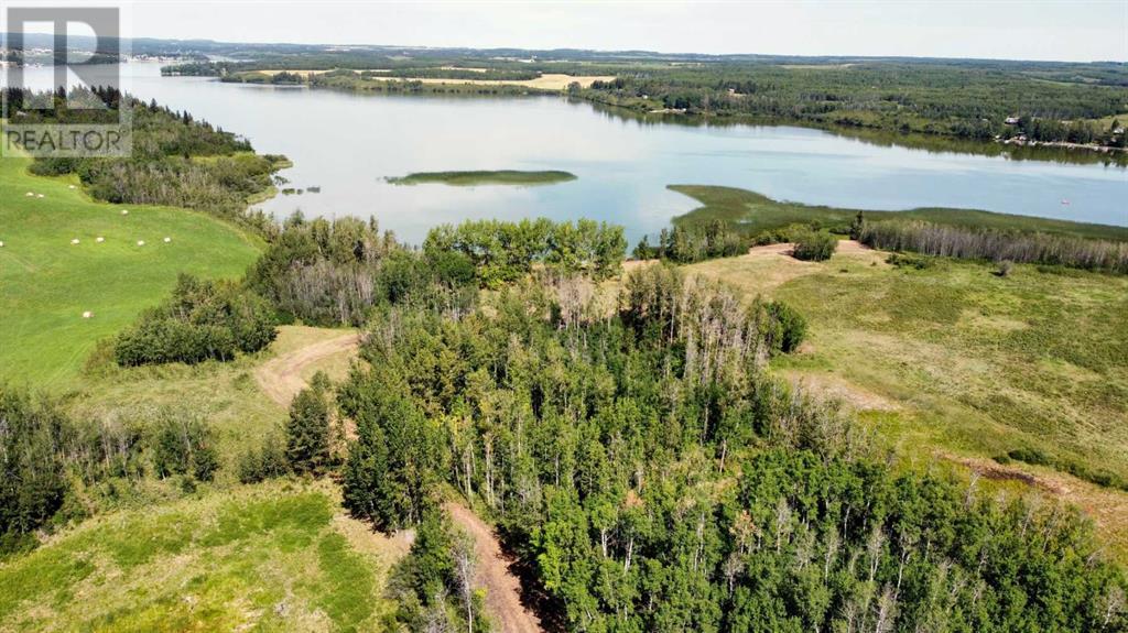 On Pine Lake Road South, Rural Red Deer County, Alberta  T0M 1S0 - Photo 16 - A2229256