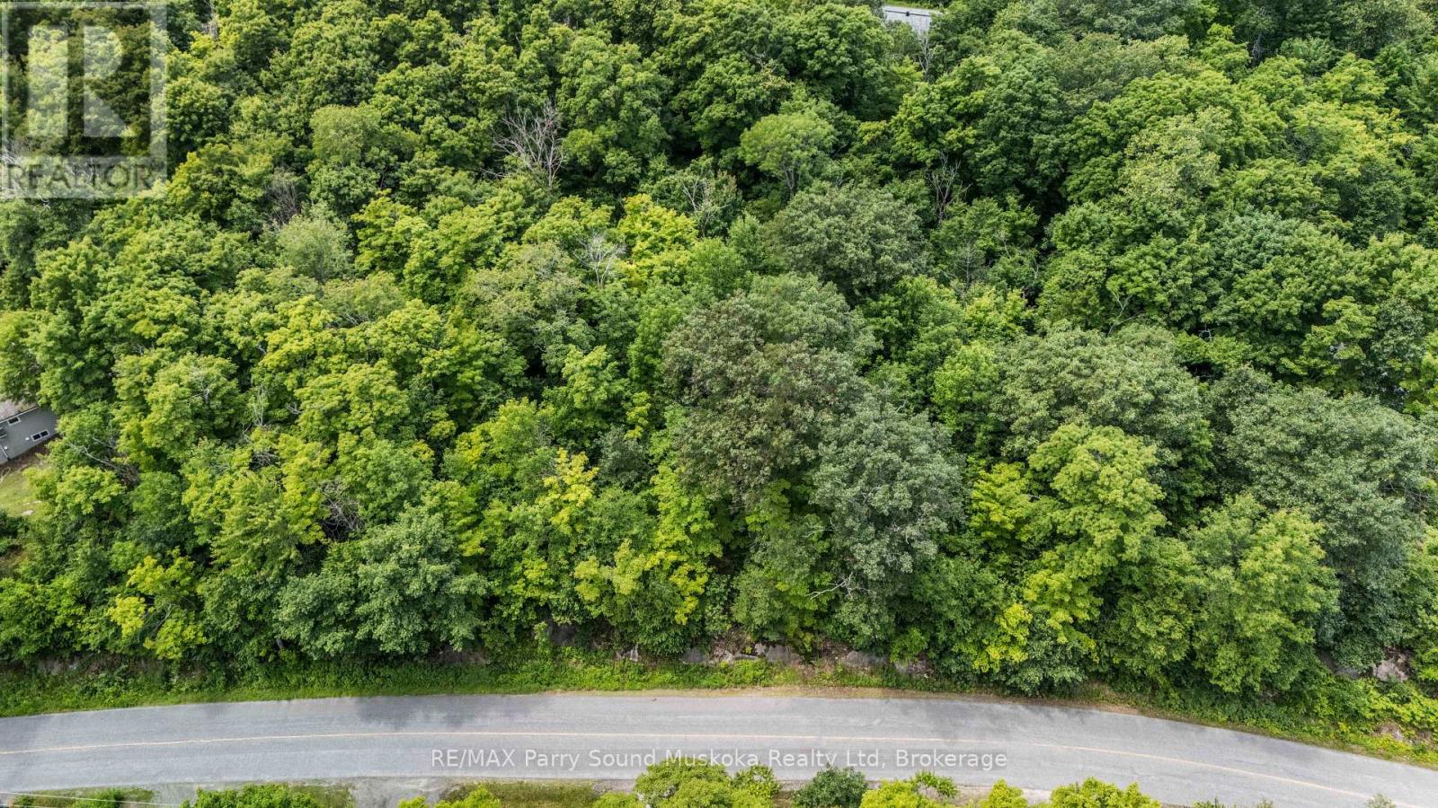 28 Beaver Trail, Mcdougall, Ontario  P2A 2W8 - Photo 11 - X12281378