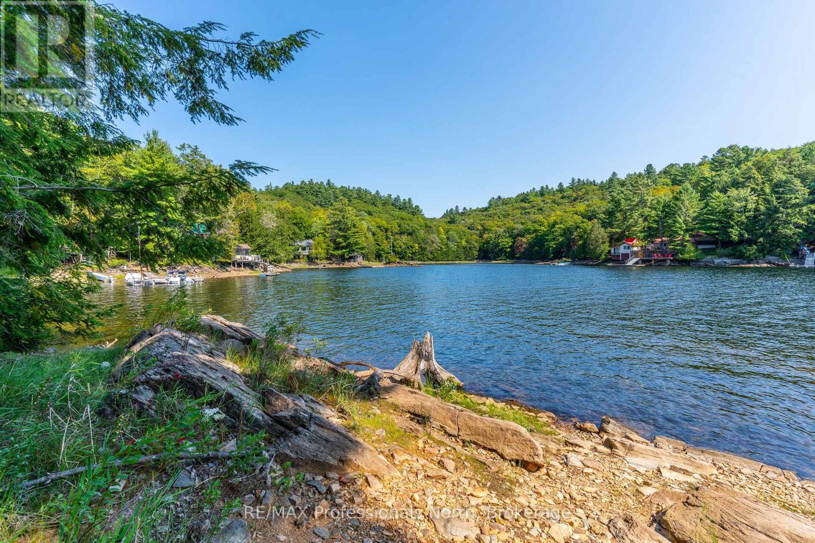 13055 Little Hawk South Shore Road, Algonquin Highlands, Ontario  K0M 1J1 - Photo 26 - X12281388