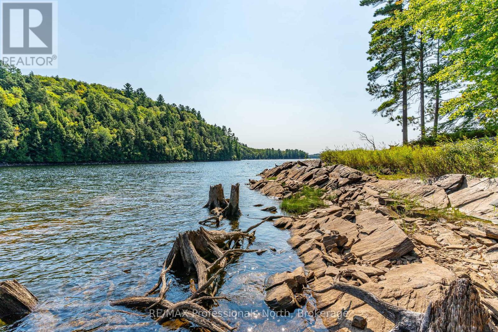 13055 Little Hawk South Shore Road, Algonquin Highlands, Ontario  K0M 1J1 - Photo 35 - X12281388