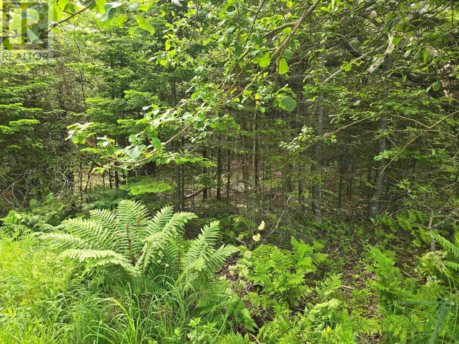 Lot Main Shore Road, North Chegoggin, Nova Scotia  B5A 5H3 - Photo 8 - 202515815