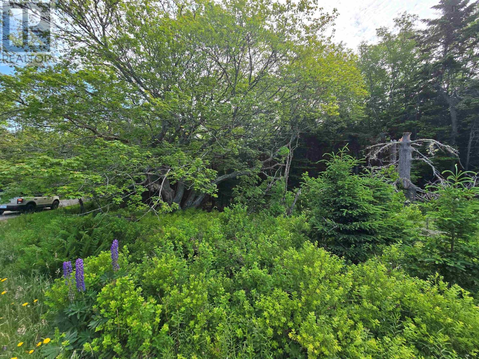 Lot Main Shore Road, North Chegoggin, Nova Scotia  B5A 5H3 - Photo 6 - 202515815