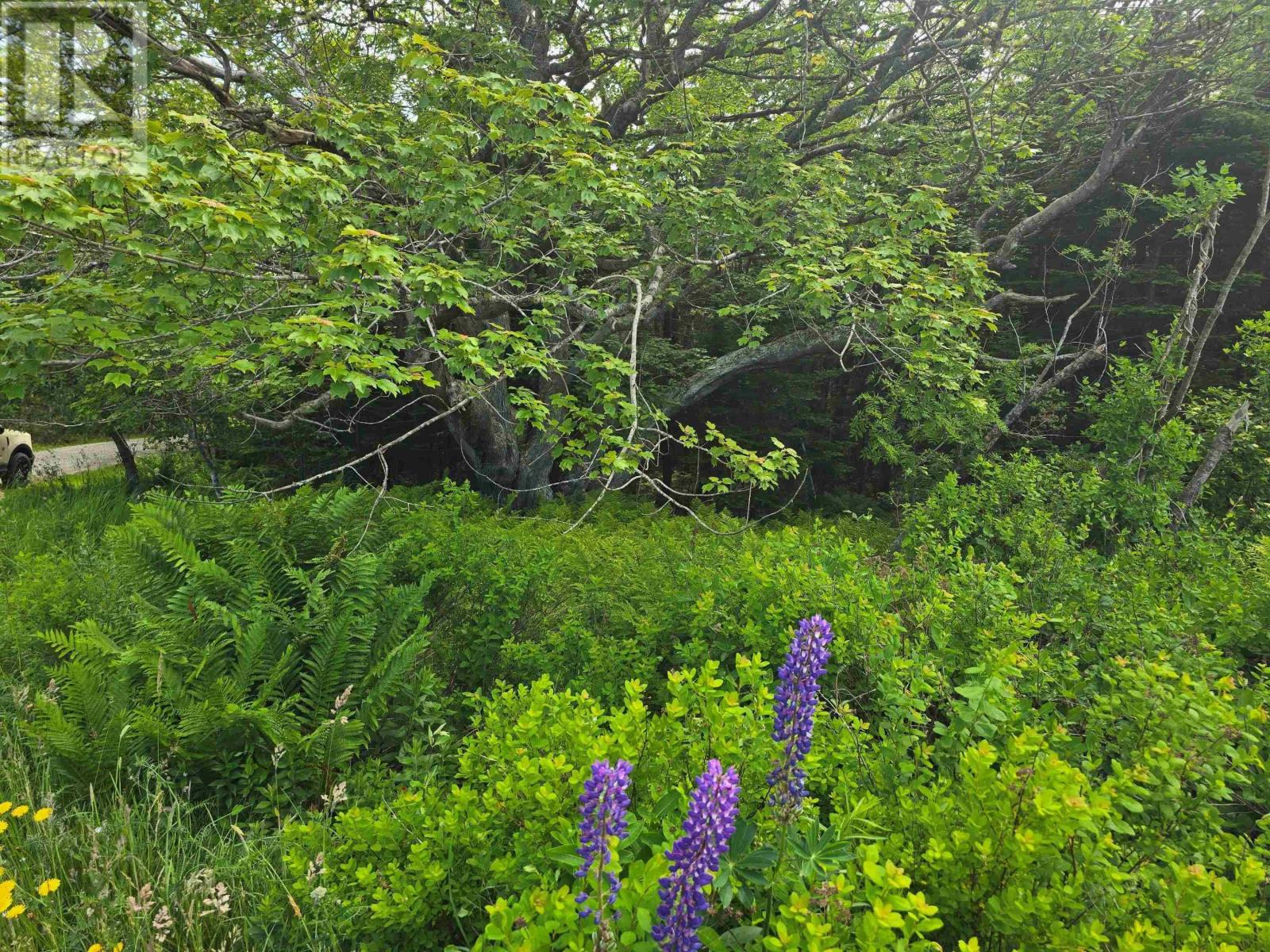 Lot Main Shore Road, North Chegoggin, Nova Scotia  B5A 5H3 - Photo 7 - 202515815