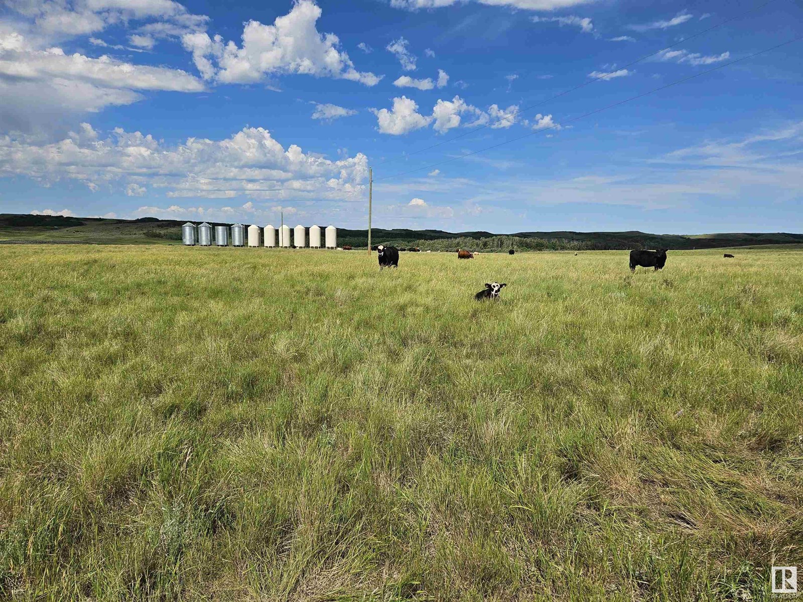 Nw-36-41-10-W4, Rural Flagstaff County, Alberta  T0B 1V0 - Photo 12 - E4447511