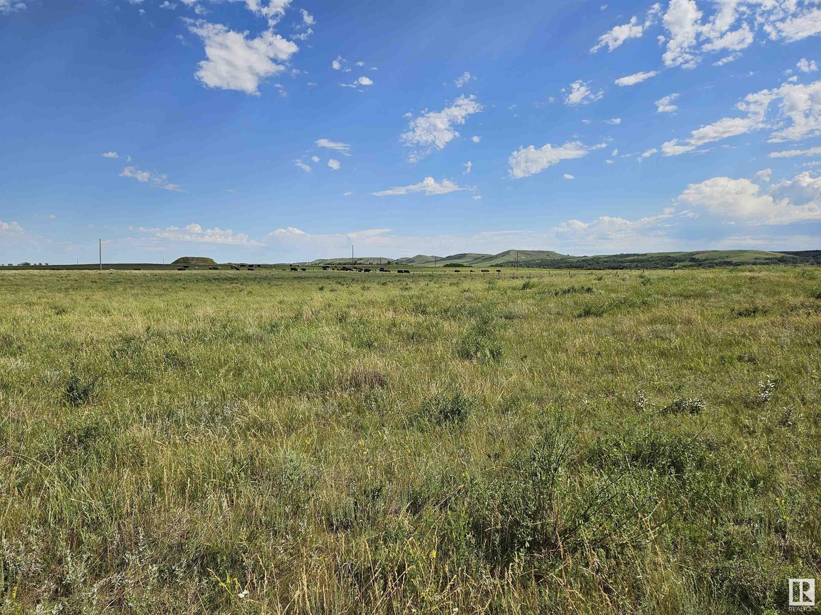 Nw-36-41-10-W4, Rural Flagstaff County, Alberta  T0B 1V0 - Photo 14 - E4447511