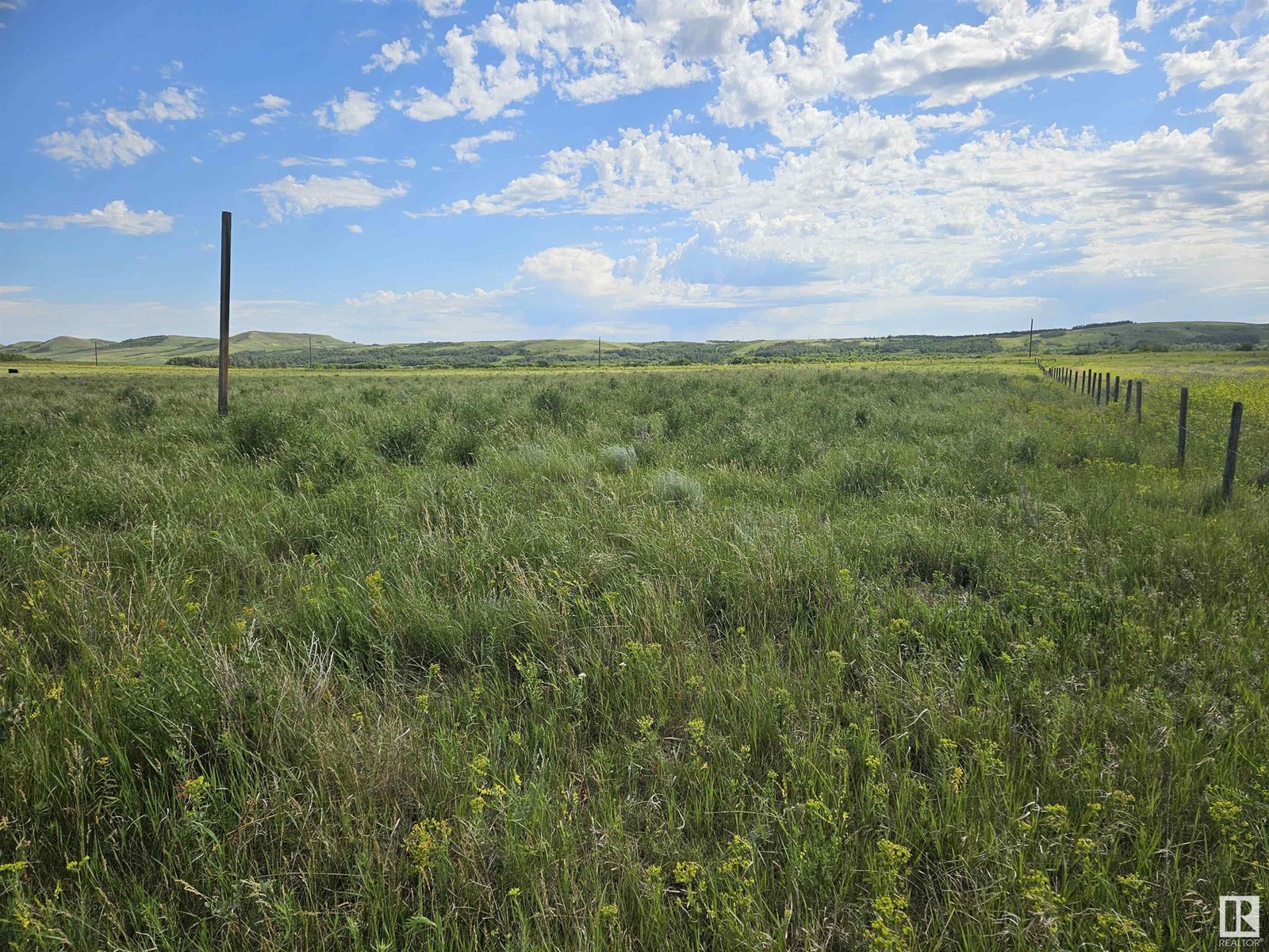 Nw-36-41-10-W4, Rural Flagstaff County, Alberta  T0B 1V0 - Photo 3 - E4447511