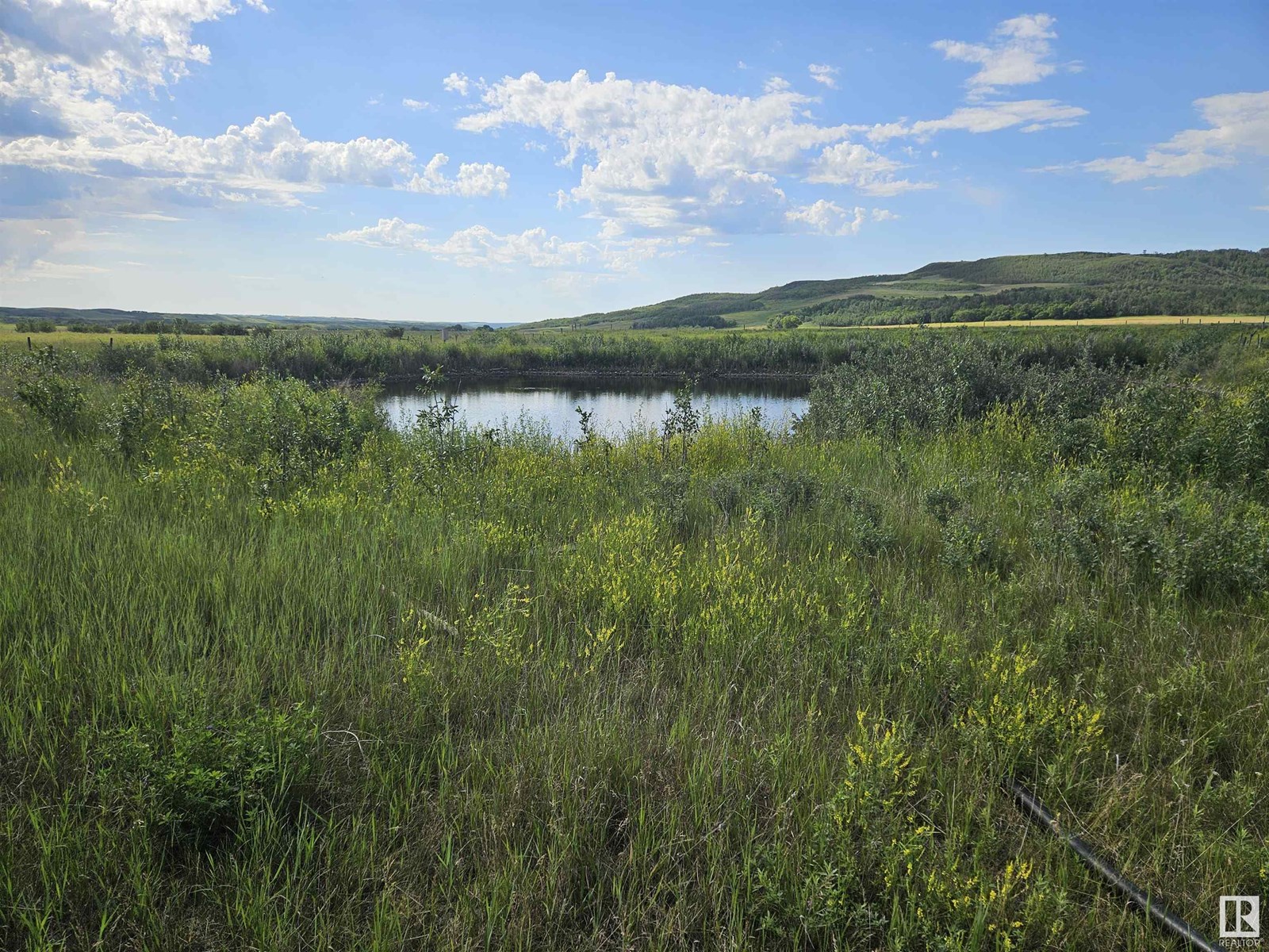 Nw-36-41-10-W4, Rural Flagstaff County, Alberta  T0B 1V0 - Photo 4 - E4447511