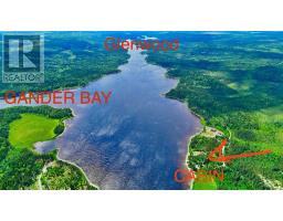 0 4th Pond, Gander River, Newfoundland & Labrador