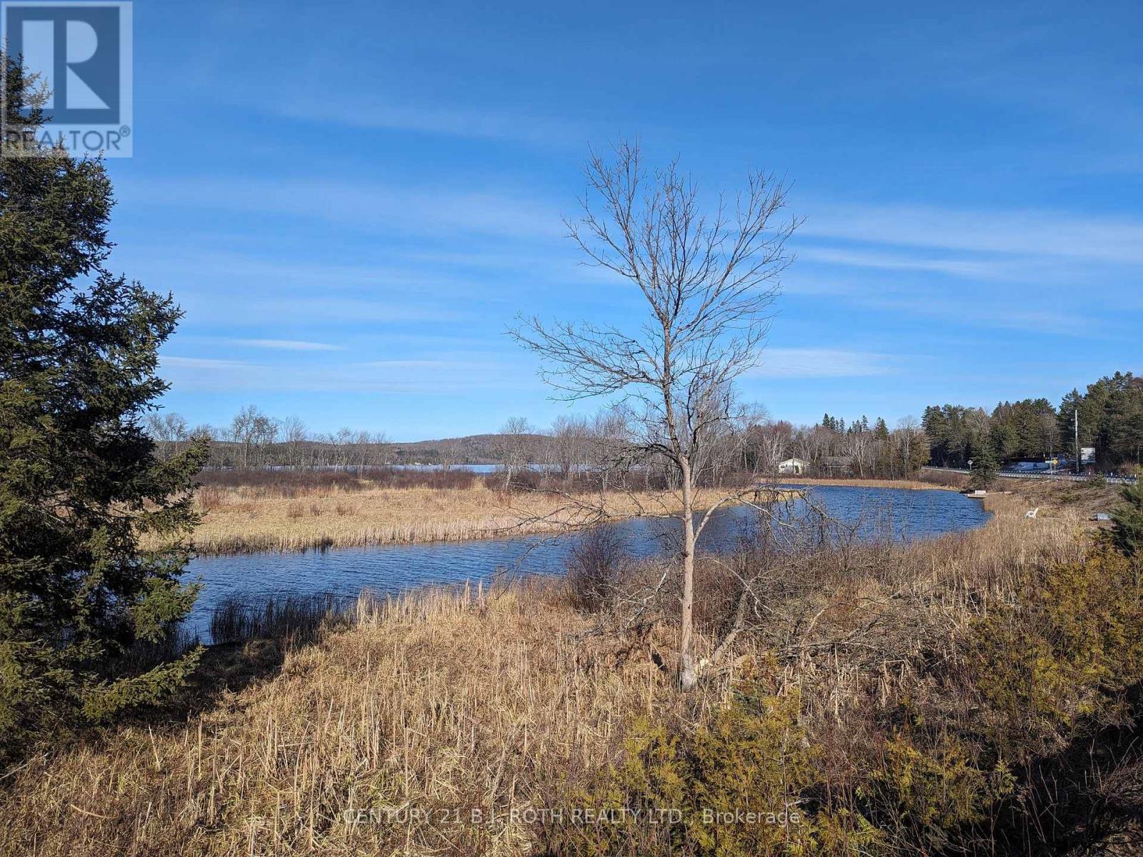 11146 On-118 Highway, Algonquin Highlands, Ontario  K0M 1J1 - Photo 4 - X12281835