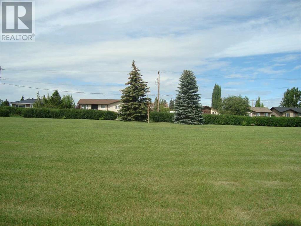 420 Pontmain Road, Trochu, Alberta  T0M 2C0 - Photo 7 - A2238368