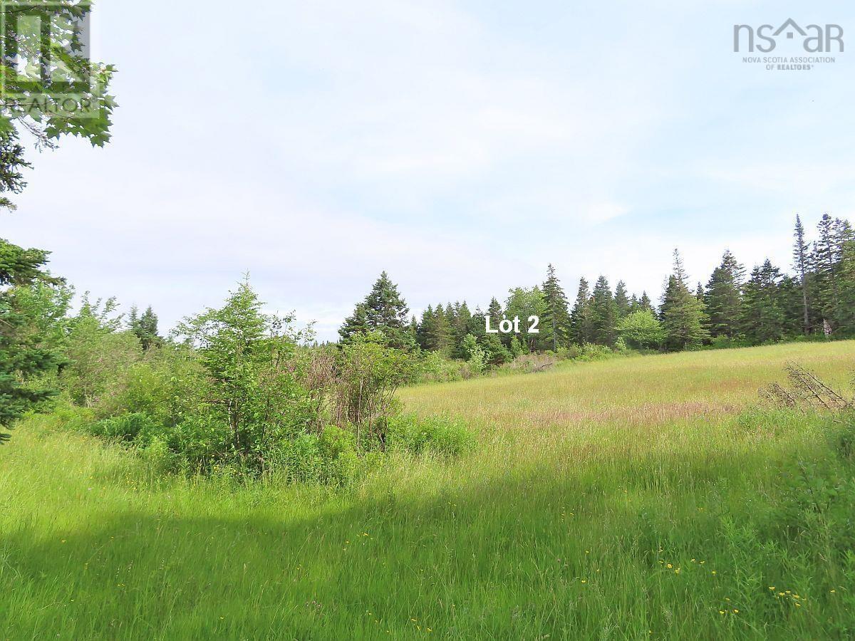 Lot 2 Old Trunk 4 Highway, Soldiers Cove, Nova Scotia  B0E 3B0 - Photo 25 - 202415357
