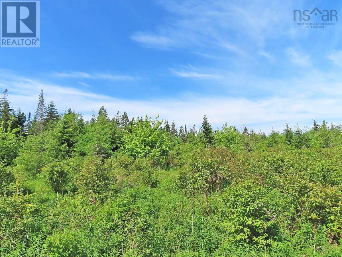 Lot 2 Old Trunk 4 Highway, Soldiers Cove, Nova Scotia  B0E 3B0 - Photo 3 - 202415357