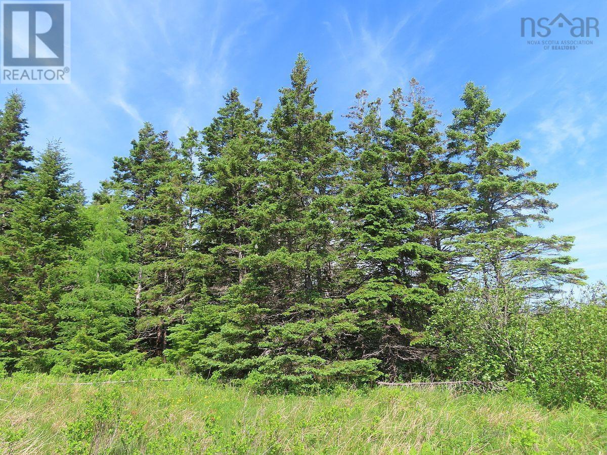 Lot 2 Old Trunk 4 Highway, Soldiers Cove, Nova Scotia  B0E 3B0 - Photo 9 - 202415357