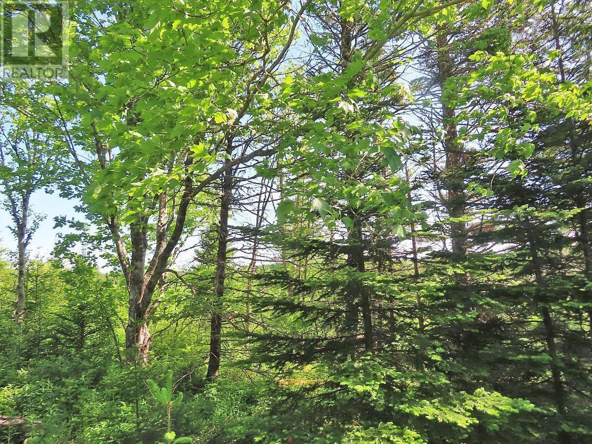 Lot 2 Old Trunk 4 Highway, Soldiers Cove, Nova Scotia  B0E 3B0 - Photo 6 - 202415357