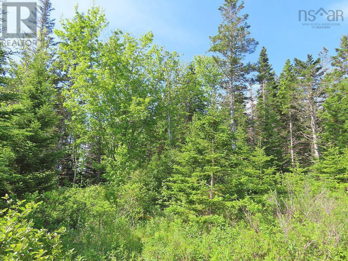 Lot 2 Old Trunk 4 Highway, Soldiers Cove, Nova Scotia  B0E 3B0 - Photo 8 - 202415357