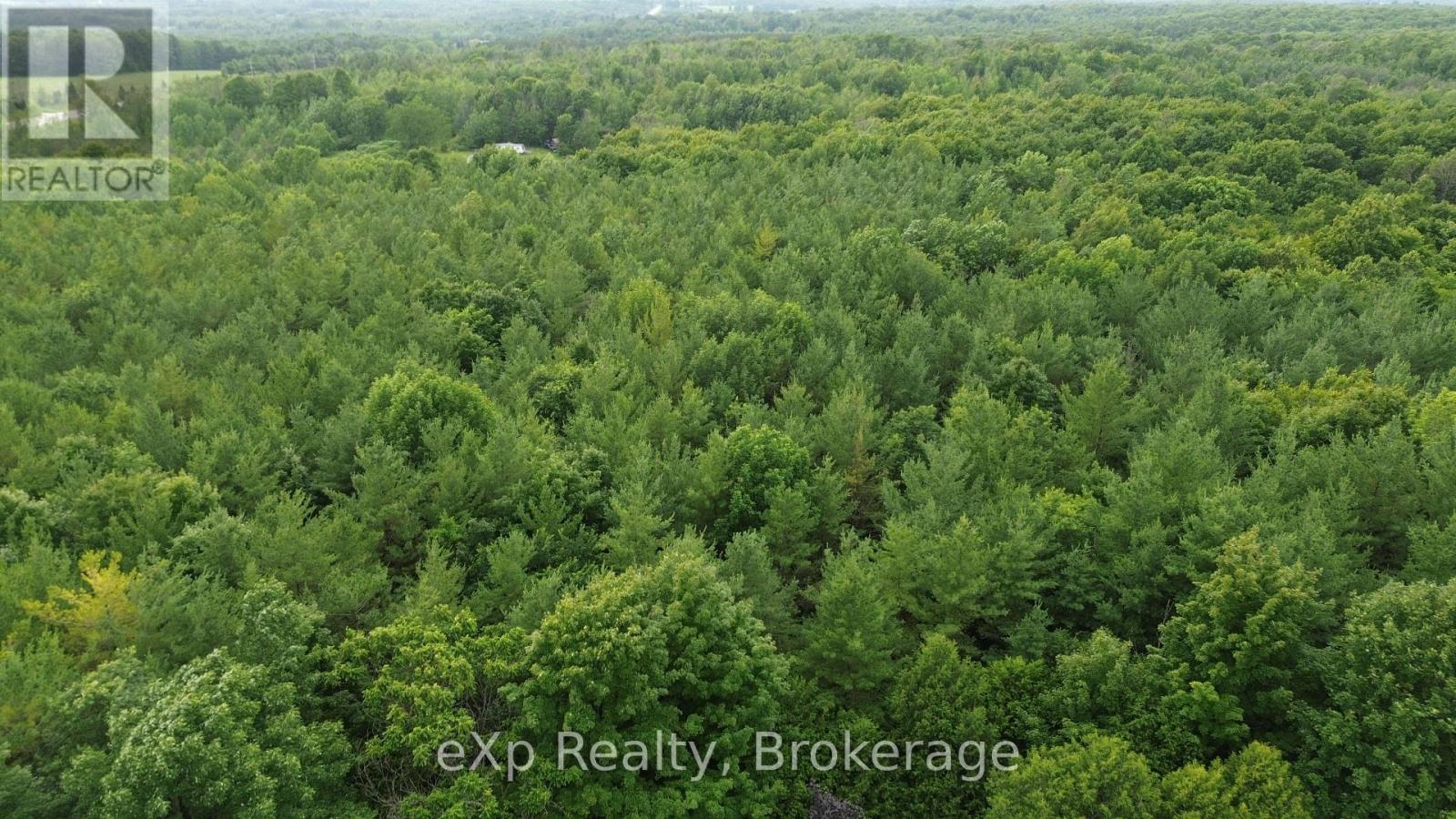 720227 Sideroad 20 Side Road, Chatsworth, Ontario  N0H 1R0 - Photo 9 - X12282026