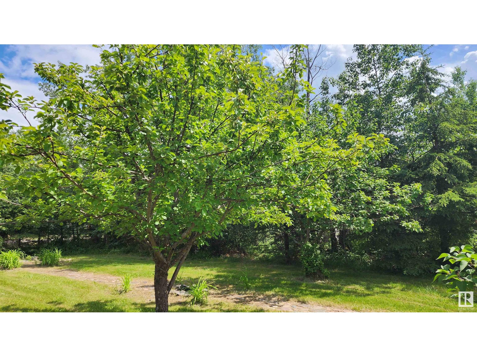 174 63303 Hwy 867, Rural Lac La Biche County, Alberta  T0A 2C0 - Photo 7 - E4447555