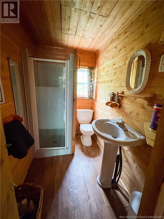 2.5 Hec Renous River, Dungarvon, New Brunswick  E4T 2T6 - Photo 13 - NB122835