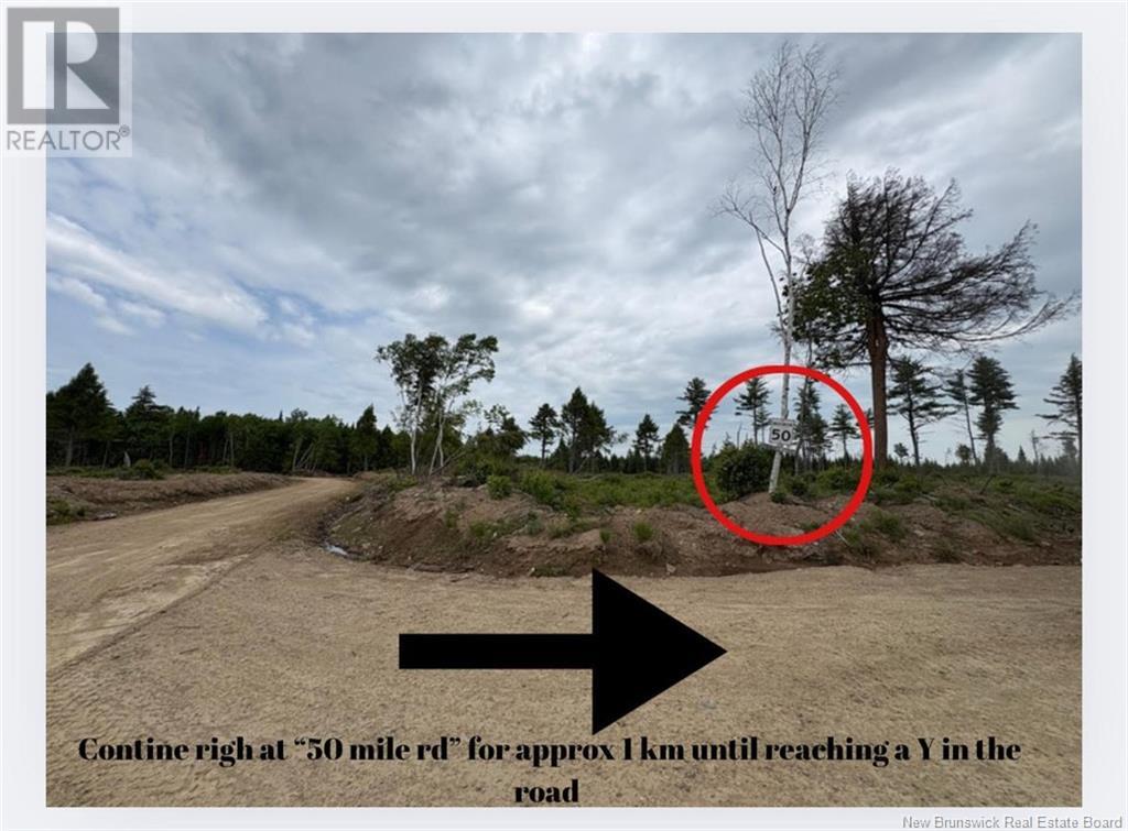 2.5 Hec Renous River, Dungarvon, New Brunswick  E4T 2T6 - Photo 18 - NB122835