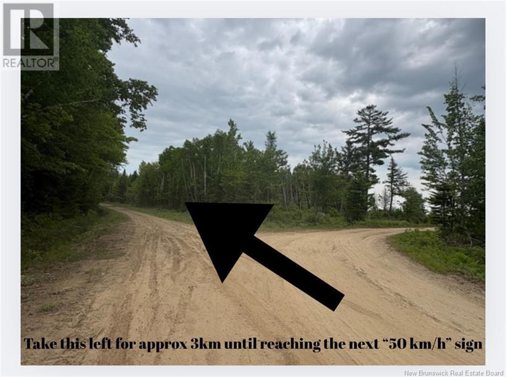 2.5 Hec Renous River, Dungarvon, New Brunswick  E4T 2T6 - Photo 19 - NB122835
