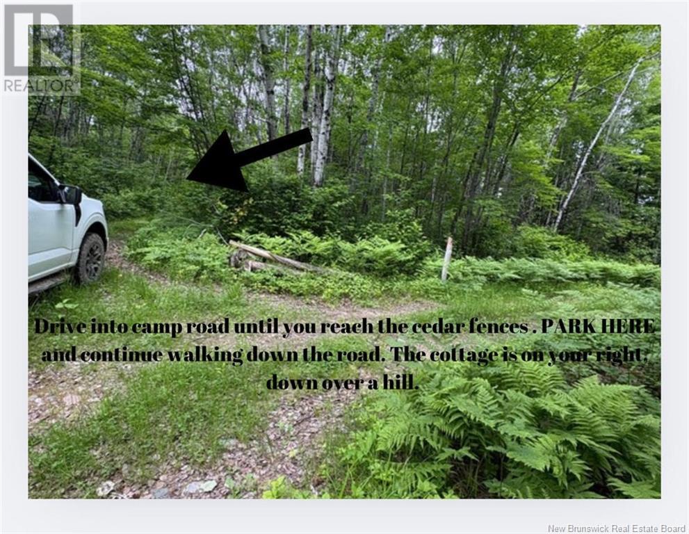 2.5 Hec Renous River, Dungarvon, New Brunswick  E4T 2T6 - Photo 22 - NB122835