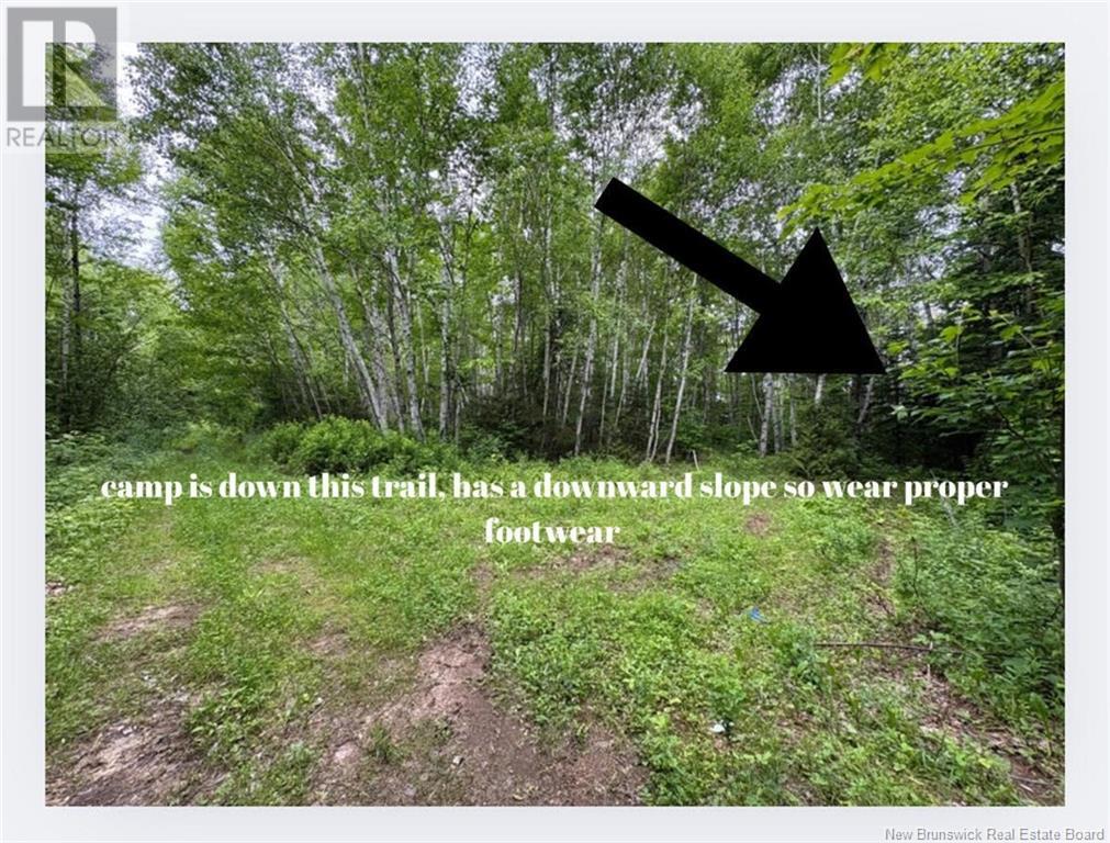 2.5 Hec Renous River, Dungarvon, New Brunswick  E4T 2T6 - Photo 23 - NB122835