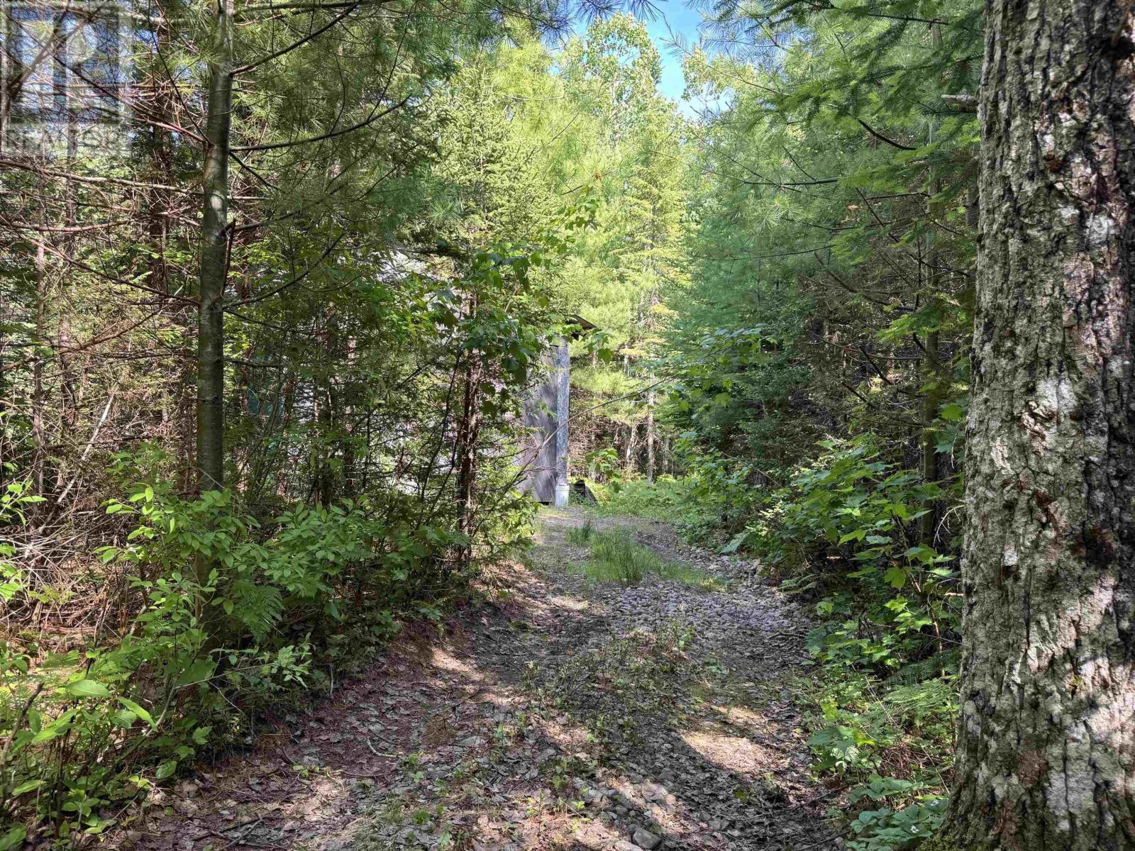 1926 Southside River Denys Road, River Denys, Nova Scotia  B0E 2Y0 - Photo 39 - 202516288