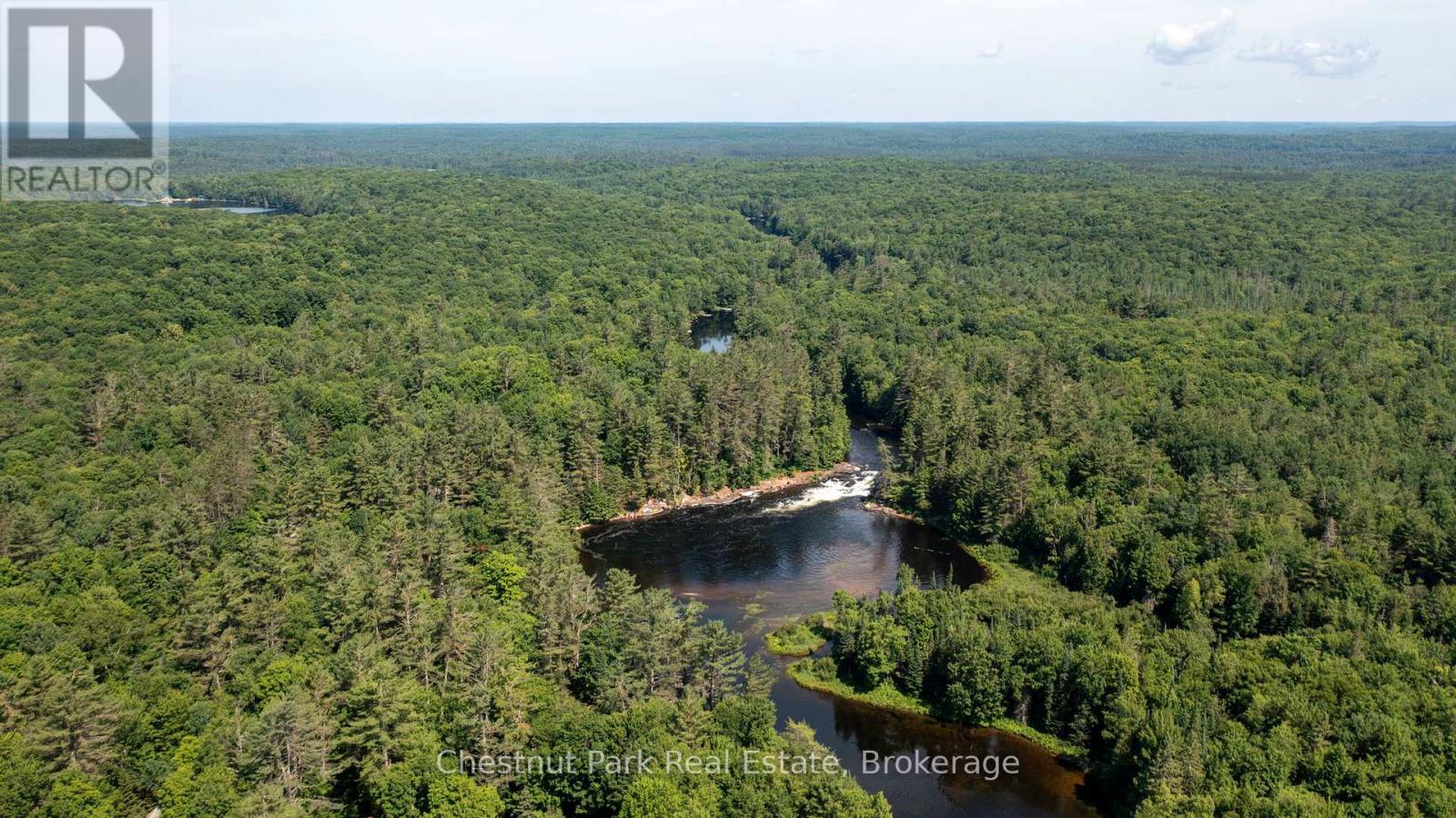1277 Sherwood Forest Road, Bracebridge, Ontario  P1L 1X3 - Photo 30 - X12282248