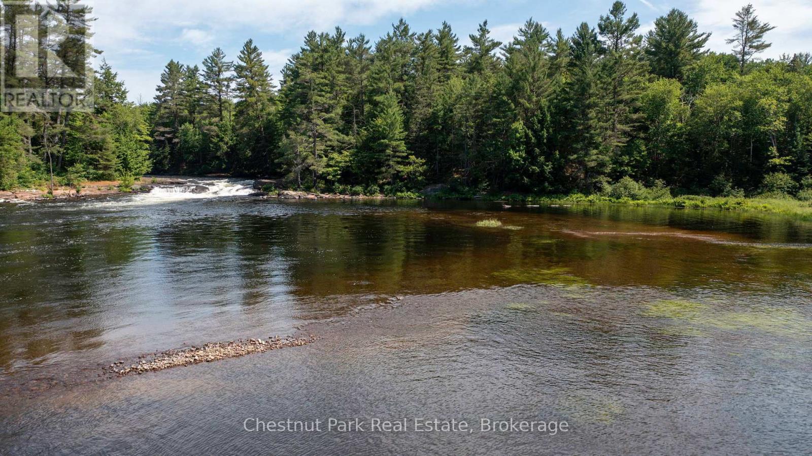 1277 Sherwood Forest Road, Bracebridge, Ontario  P1L 1X3 - Photo 31 - X12282248