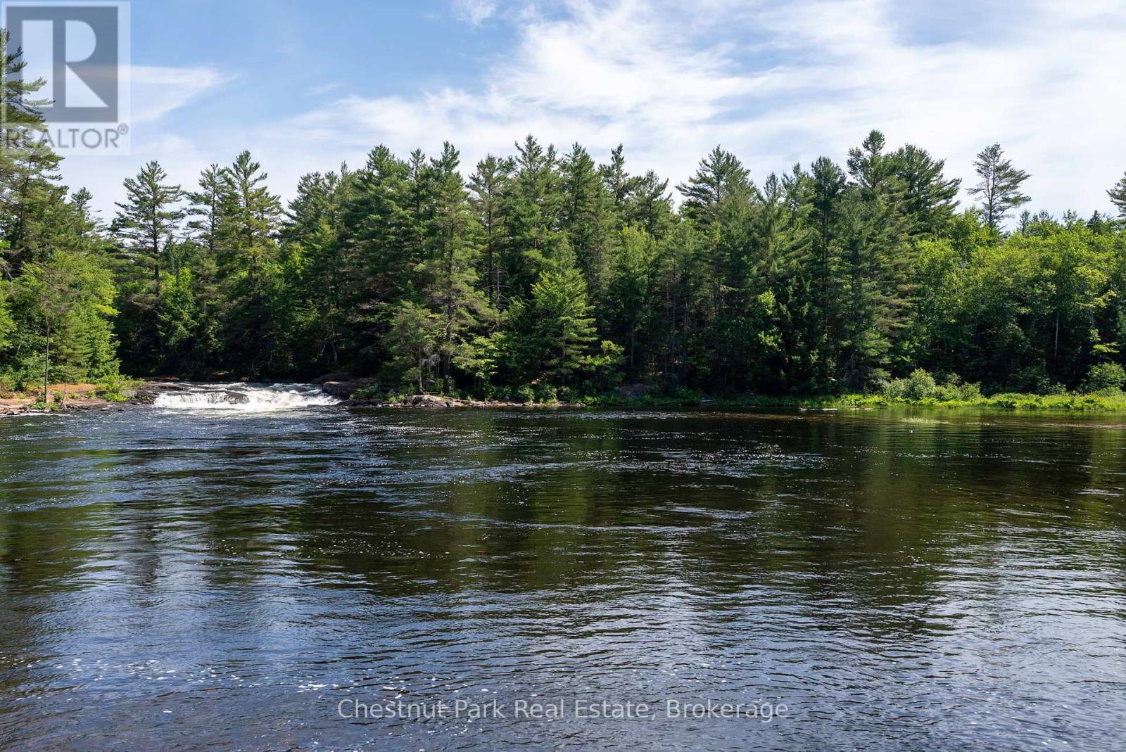 1277 Sherwood Forest Road, Bracebridge, Ontario  P1L 1X3 - Photo 34 - X12282248
