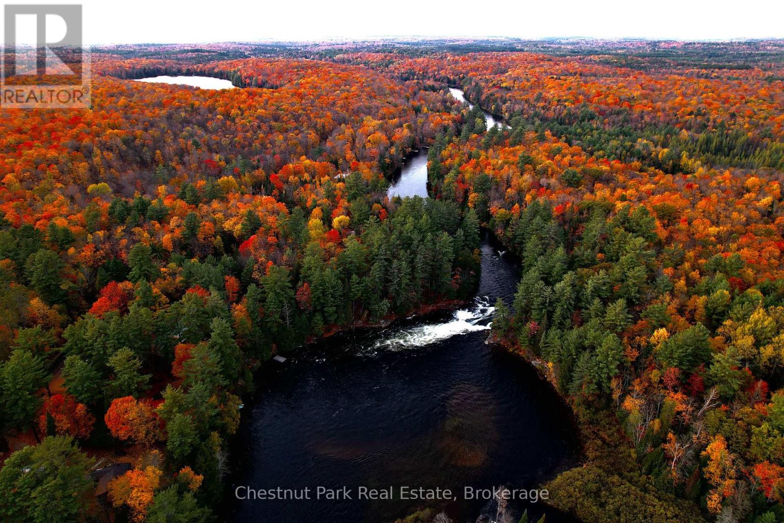1277 Sherwood Forest Road, Bracebridge, Ontario  P1L 1X3 - Photo 37 - X12282248